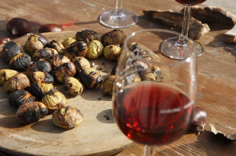 Im Weinkeller lagern & reifen einige klassische Südtiroler Weinsorten Im Weinkeller lagern & reifen einige klassische Südtiroler Weinsorten