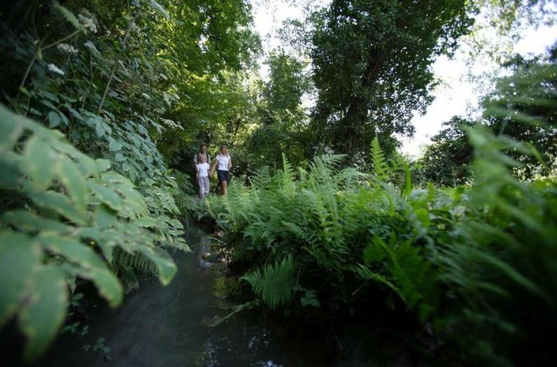Vacanze in Alto Adige: un'esperienza indimenticabile Vacanze in Alto Adige: un'esperienza indimenticabile